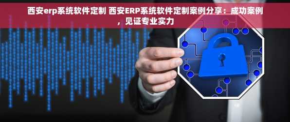 西安erp系统软件定制 西安ERP系统软件定制案例分享：成功案例，见证专业实力