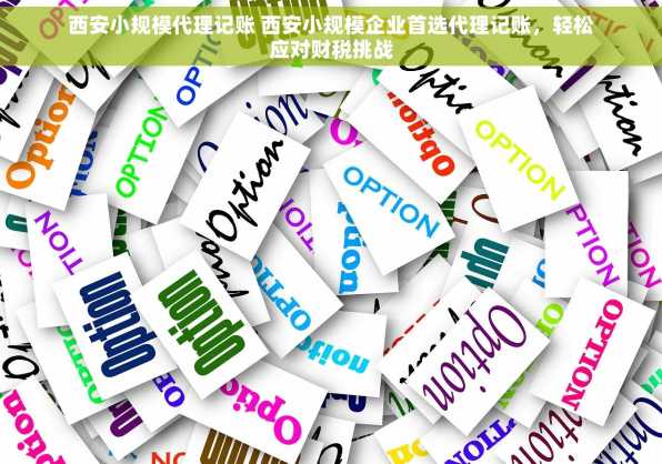 西安小规模代理记账 西安小规模企业首选代理记账，轻松应对财税挑战