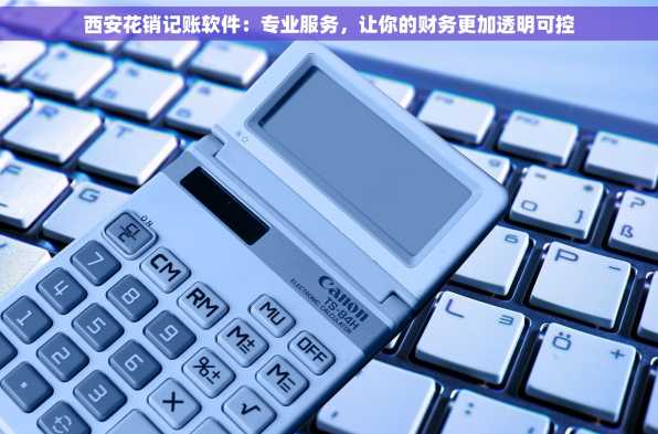 西安花销记账软件：专业服务，让你的财务更加透明可控