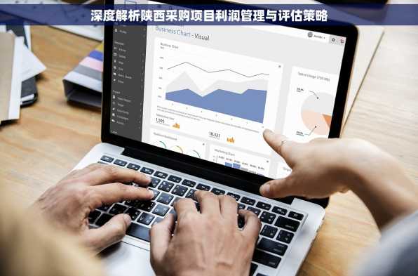 深度解析陕西采购项目利润管理与评估策略