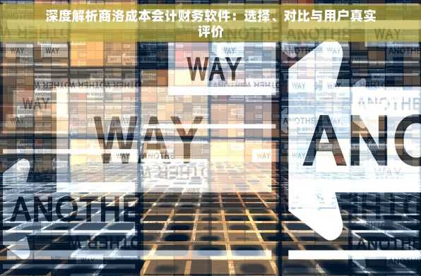 深度解析商洛成本会计财务软件：选择、对比与用户真实评价