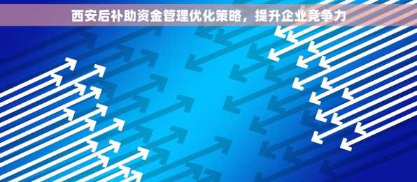 西安后补助资金管理优化策略，提升企业竞争力