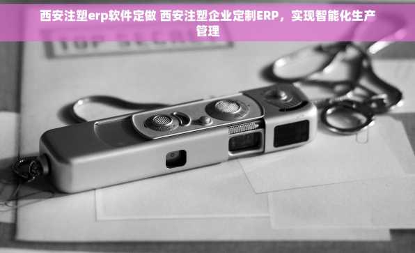 西安注塑erp软件定做 西安注塑企业定制ERP，实现智能化生产管理