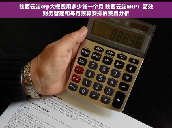 陕西云端erp大概费用多少钱一个月 陕西云端ERP：高效财务管理和每月预算安排的费用分析