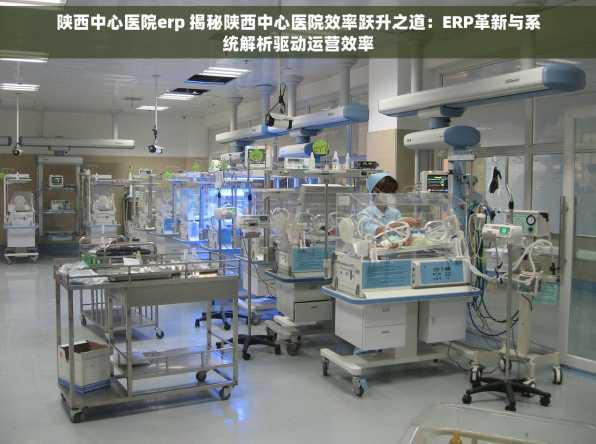陕西中心医院erp 揭秘陕西中心医院效率跃升之道：ERP革新与系统解析驱动运营效率