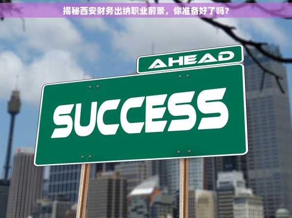 揭秘西安财务出纳职业前景，你准备好了吗？