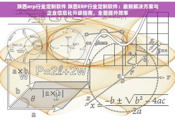 陕西erp行业定制软件 陕西ERP行业定制软件：最新解决方案与企业信息化升级指南，全面提升效率