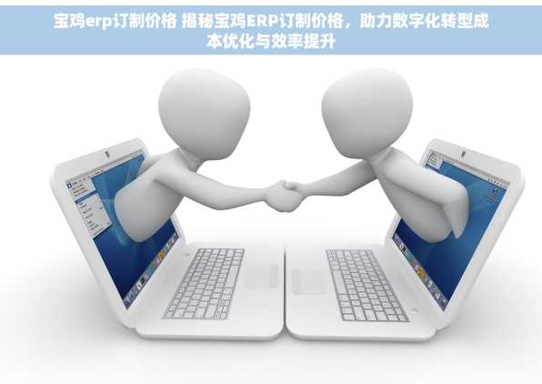 宝鸡erp订制价格 揭秘宝鸡ERP订制价格，助力数字化转型成本优化与效率提升