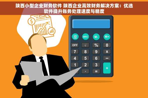 陕西小型企业财务软件 陕西企业高效财务解决方案：优选软件提升账务处理速度与精度