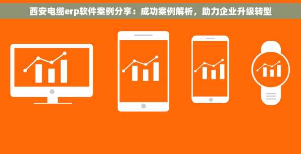 西安电缆erp软件案例分享：成功案例解析，助力企业升级转型
