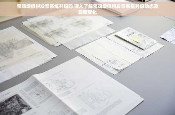 宝鸡增值税发票系统升级吗 深入了解宝鸡增值税发票系统升级动态及最新变化