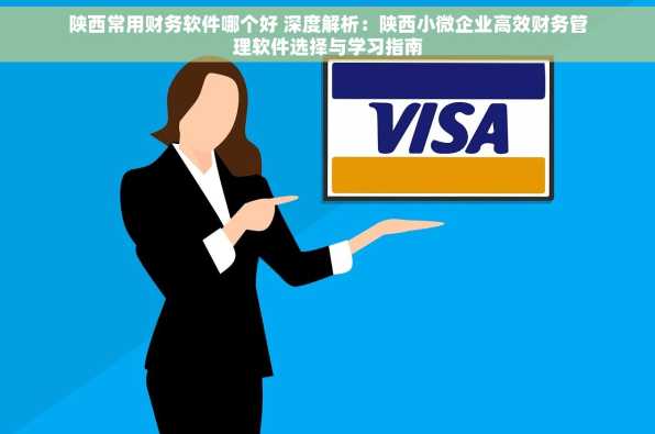 陕西常用财务软件哪个好 深度解析：陕西小微企业高效财务管理软件选择与学习指南