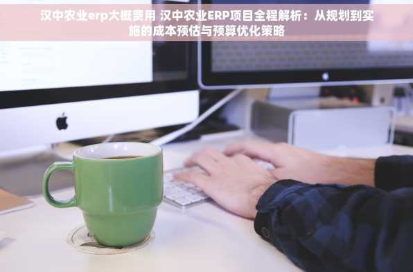 汉中农业erp大概费用 汉中农业ERP项目全程解析：从规划到实施的成本预估与预算优化策略