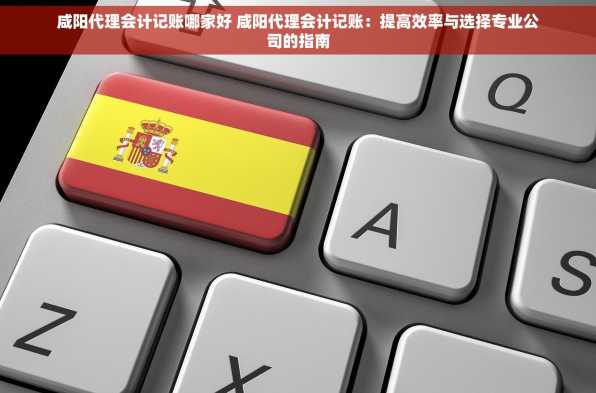 咸阳代理会计记账哪家好 咸阳代理会计记账：提高效率与选择专业公司的指南