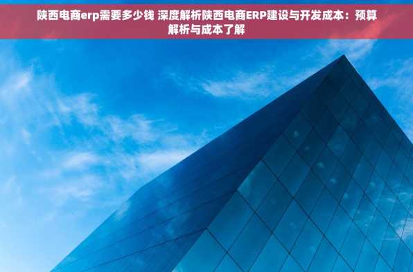陕西电商erp需要多少钱 深度解析陕西电商ERP建设与开发成本：预算解析与成本了解