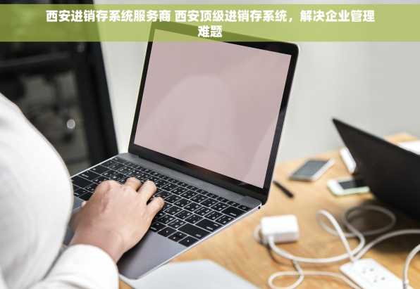 西安进销存系统服务商 西安顶级进销存系统，解决企业管理难题