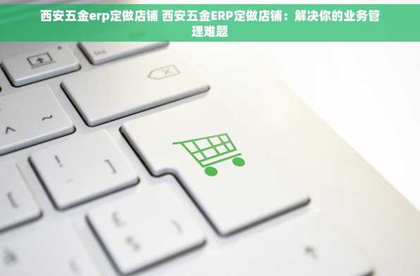 西安五金erp定做店铺 西安五金ERP定做店铺：解决你的业务管理难题