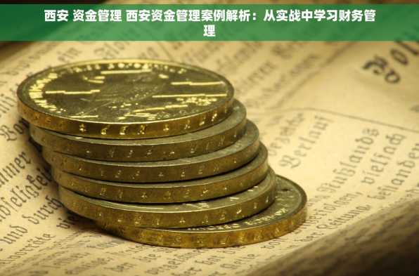 西安 资金管理 西安资金管理案例解析：从实战中学习财务管理