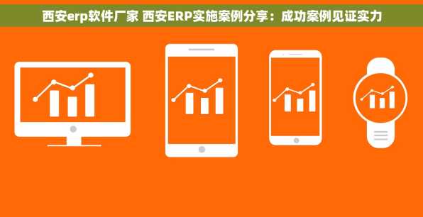 西安erp软件厂家 西安ERP实施案例分享：成功案例见证实力