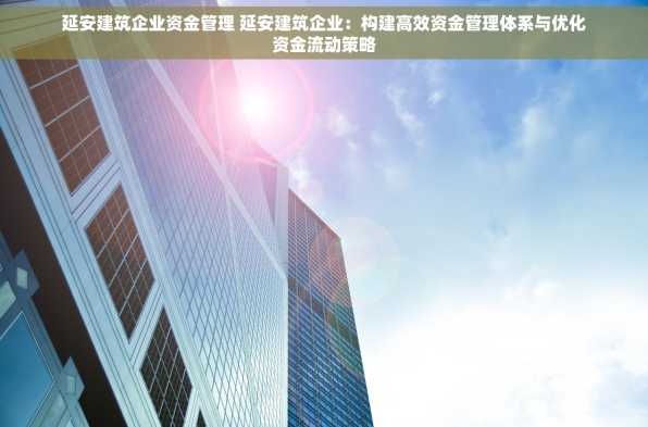 延安建筑企业资金管理 延安建筑企业：构建高效资金管理体系与优化资金流动策略