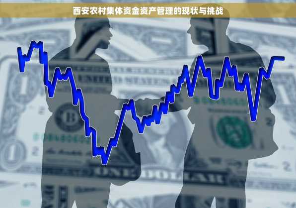 西安农村集体资金资产管理的现状与挑战
