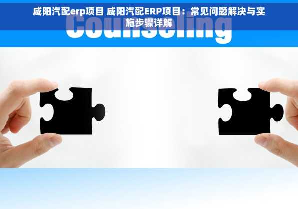 咸阳汽配erp项目 咸阳汽配ERP项目：常见问题解决与实施步骤详解