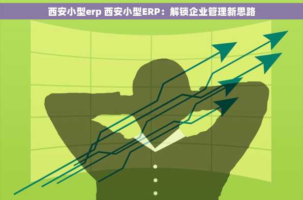 西安小型erp 西安小型ERP：解锁企业管理新思路