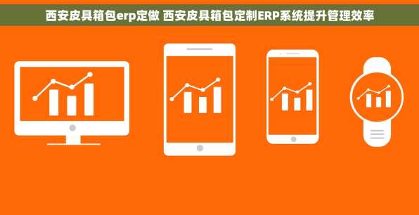 西安皮具箱包erp定做 西安皮具箱包定制ERP系统提升管理效率