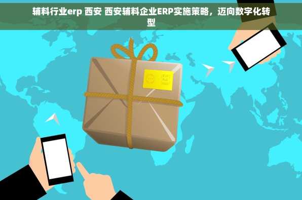 辅料行业erp 西安 西安辅料企业ERP实施策略，迈向数字化转型