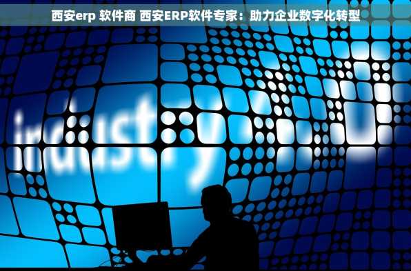 西安erp 软件商 西安ERP软件专家：助力企业数字化转型
