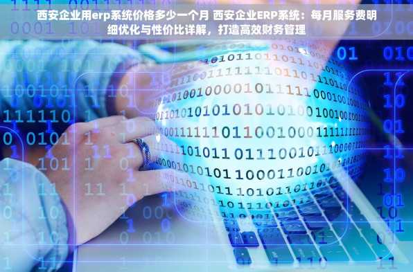 西安企业用erp系统价格多少一个月 西安企业ERP系统：每月服务费明细优化与性价比详解，打造高效财务管理