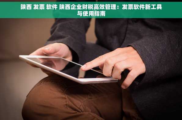 陕西 发票 软件 陕西企业财税高效管理：发票软件新工具与使用指南