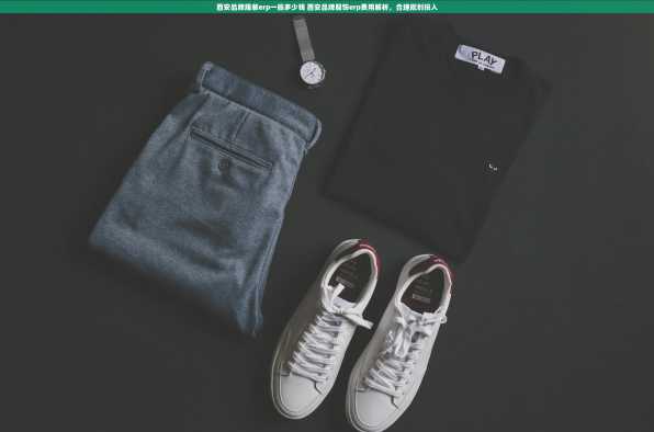西安品牌服装erp一般多少钱 西安品牌服饰erp费用解析，合理规划投入