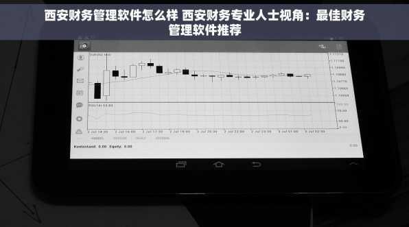 西安财务管理软件怎么样 西安财务专业人士视角：最佳财务管理软件推荐
