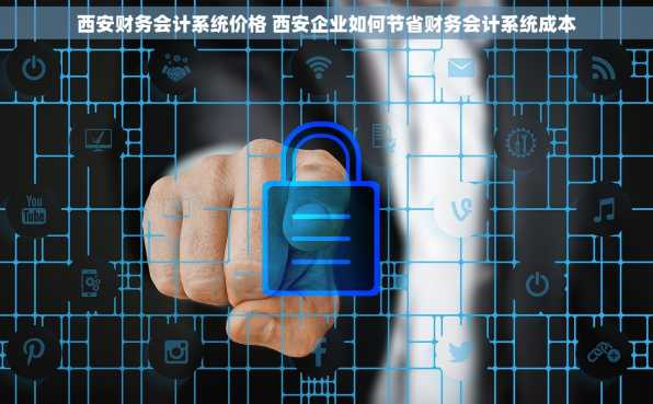 西安财务会计系统价格 西安企业如何节省财务会计系统成本
