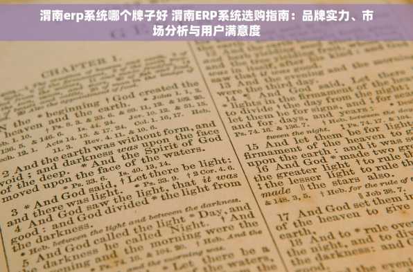 渭南erp系统哪个牌子好 渭南ERP系统选购指南：品牌实力、市场分析与用户满意度