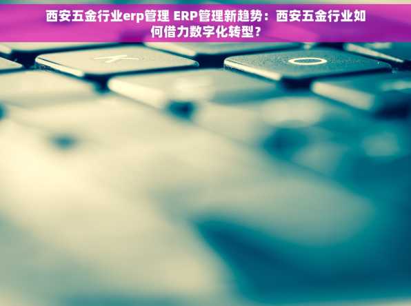 西安五金行业erp管理 ERP管理新趋势：西安五金行业如何借力数字化转型？