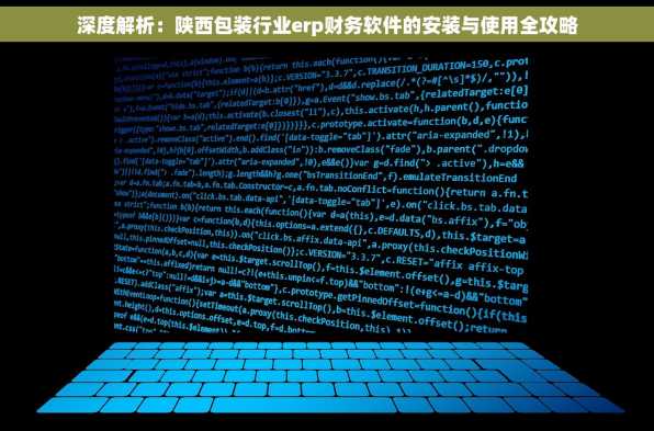 深度解析：陕西包装行业erp财务软件的安装与使用全攻略