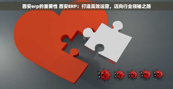 西安erp的重要性 西安ERP：打造高效运营，迈向行业领袖之路