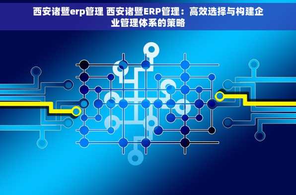 西安诸暨erp管理 西安诸暨ERP管理：高效选择与构建企业管理体系的策略