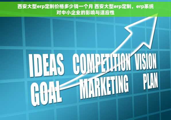 西安大型erp定制价格多少钱一个月 西安大型erp定制，erp系统对中小企业的影响与适应性