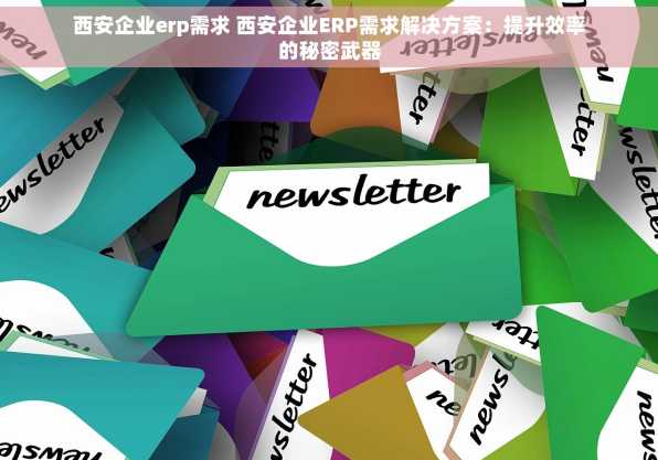 西安企业erp需求 西安企业ERP需求解决方案：提升效率的秘密武器