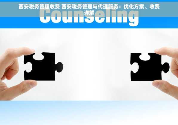 西安税务管理收费 西安税务管理与代理服务：优化方案、收费详解