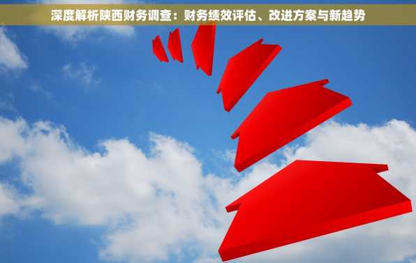 深度解析陕西财务调查：财务绩效评估、改进方案与新趋势