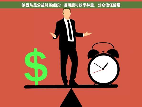 陕西从是公益财务组织：透明度与效率并重，公众信任倍增