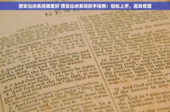 西安出纳系统哪里好 西安出纳系统新手指南：轻松上手，高效管理