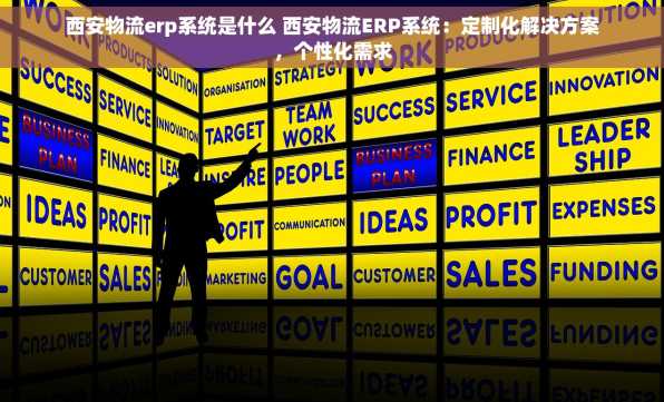 西安物流erp系统是什么 西安物流ERP系统：定制化解决方案，个性化需求