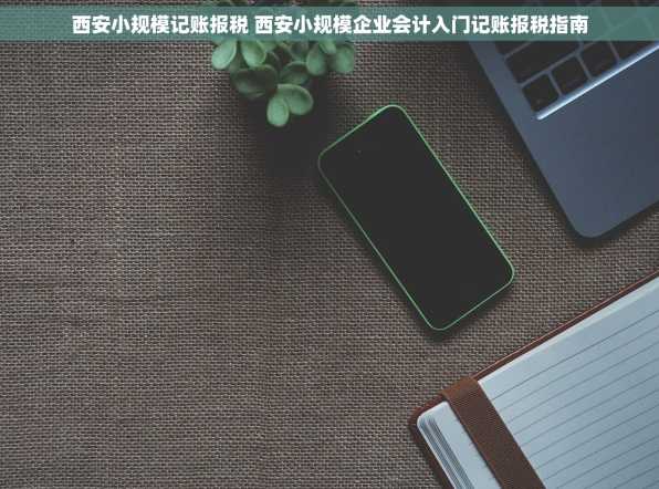 西安小规模记账报税 西安小规模企业会计入门记账报税指南