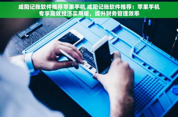 咸阳记账软件推荐苹果手机 咸阳记账软件推荐：苹果手机专享高效经济实用版，提升财务管理效率
