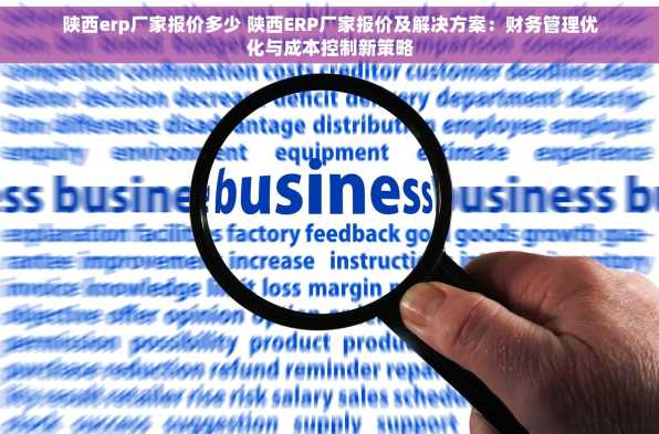陕西erp厂家报价多少 陕西ERP厂家报价及解决方案：财务管理优化与成本控制新策略